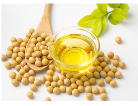 是什么推動(dòng)了豆油盤(pán)面的全線(xiàn)回落，行情后市又該何去何從呢？